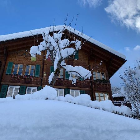 Chalet Schiltwald Innerون قن المظهر الخارجي الصورة