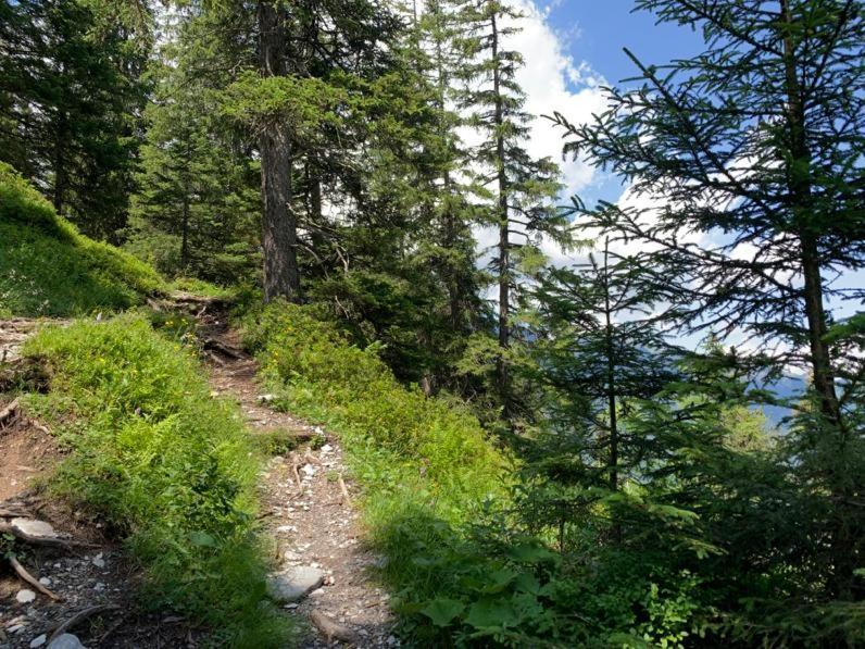 Chalet Schiltwald Innerون قن المظهر الخارجي الصورة