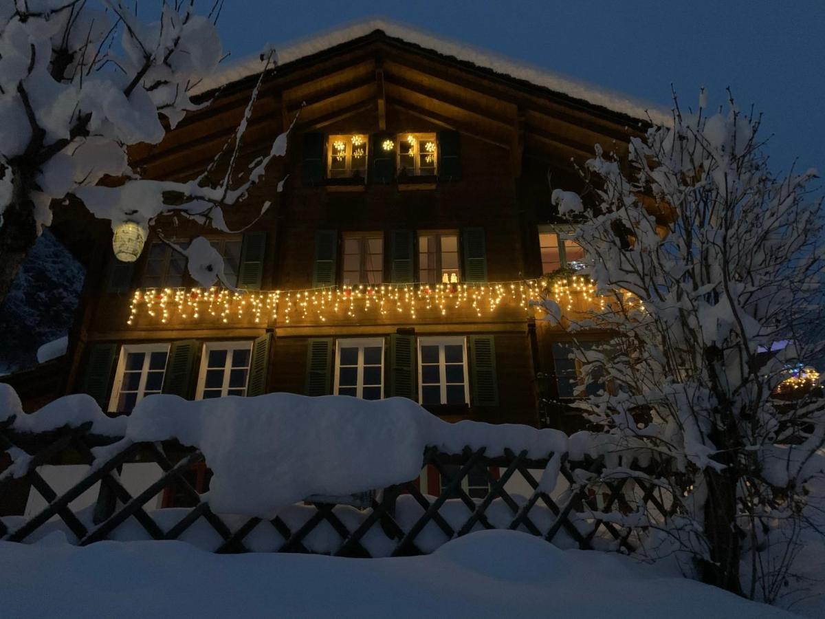 Chalet Schiltwald Innerون قن المظهر الخارجي الصورة